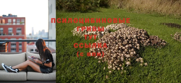 кокс Нея
