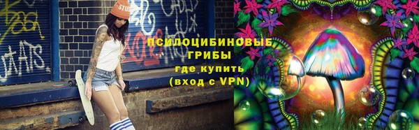 трава Нефтекумск