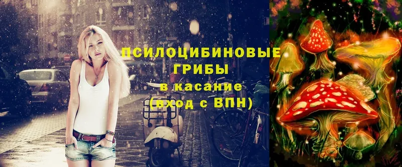 Галлюциногенные грибы Cubensis  дарнет шоп  Ноябрьск 