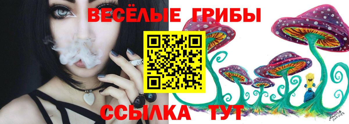 Псилоцибиновые грибы GOLDEN TEACHER Ноябрьск